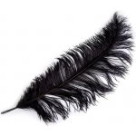 Pštrosí peří délka 60 cm Varianta: 12 černá, Balení: 1 ks – Sleviste.cz