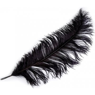 Pštrosí peří délka 60 cm Varianta: 12 černá, Balení: 1 ks – Sleviste.cz