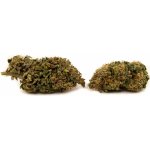 Weedshop CBD konopí Blueberry 0,8 % THC 1 g – Zboží Dáma