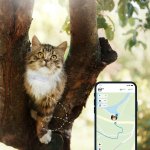 Tractive Cat GPS a GPS obojek pro kočky - sledování polohy a aktivity (2020) TRKAT1 – Sleviste.cz