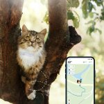 Tractive Cat GPS a GPS obojek pro kočky - sledování polohy a aktivity (2020) TRKAT1 – Hledejceny.cz