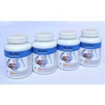 Mycomedica MycoFlex 4 x 90 kapslí – Hledejceny.cz
