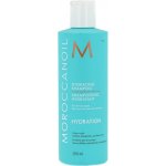 Moroccanoil Hydrating Shampoo 250 ml – Zbozi.Blesk.cz