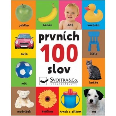 Prvních 100 slov