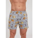 Cornette pánské trenýrky 001/121 Classic – Hledejceny.cz