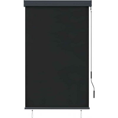 VidaXL Venkovní roleta, 100 x 250 cm, antracitová – Sleviste.cz