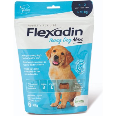 Flexadin Young Dog maxi 60 tablet – Zboží Mobilmania