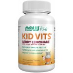 NOW Foods NOW Kid Vits Berry blast Multivitamín pro děti 120 žvýkacích pastilek – Hledejceny.cz