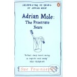 Lost Diaries of Adrian Mole 1999-2001 - Sue Townsend – Hledejceny.cz