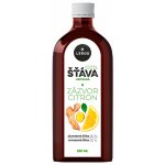Leros Lisovaná šťáva Zázvor & citron 250 ml – Hledejceny.cz