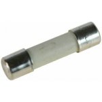 OMEGA Pojistka GF 520280, F 8A keramická 5x20mm 1001520 – Hledejceny.cz