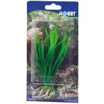Hobby Cyperus 16 cm – Sleviste.cz