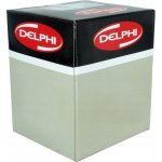 DELPHI EG10396-12B1 | Zboží Auto