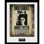 Harry Potter Zarámovaný plakát - Nežádoucí č. 1 – Hledejceny.cz