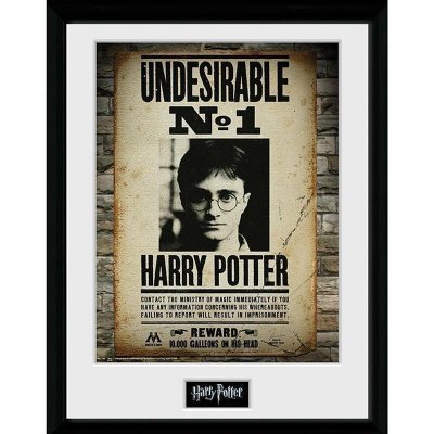 Harry Potter Zarámovaný plakát - Nežádoucí č. 1 – Hledejceny.cz