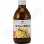 EkoMedica Zázvor s citronem 250 ml – Hledejceny.cz