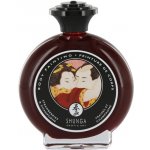 Shunga Vanilla & Chocolate Bodypainting 100 ml – Zbozi.Blesk.cz