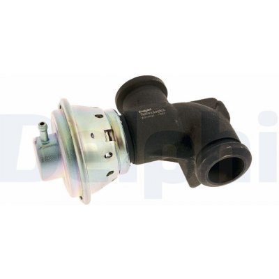 AGR-Ventil Delphi EG10530-12B1 – Hledejceny.cz