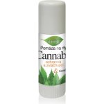 BC Bione Pomáda na rty Cannabis 11 ml – Zboží Dáma