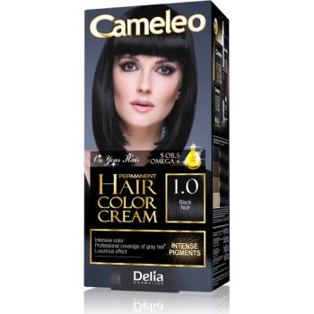 Delia Cameleo barva na vlasy 1.0 černá