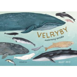 Velryby