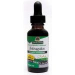 Nature´s answer Holistické bylinné kapky Lékořice lysá 30 ml – Hledejceny.cz
