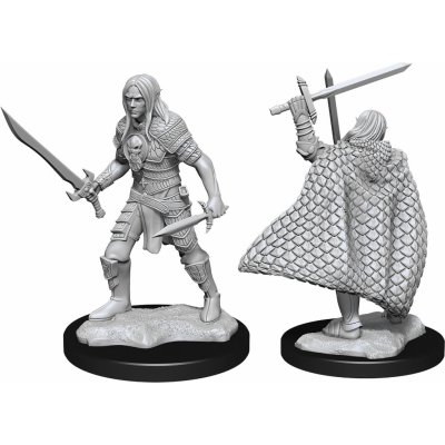 Pathfinder Battles: Deep Cuts Miniatures Elf Fighter Male