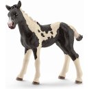 Schleich 13803 Pinto hříbě