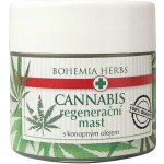 Bohemia Herbs Konopná regenerační mast 120 ml – Zboží Mobilmania