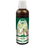 Olše tinktura z pupenů 50 ml – Hledejceny.cz