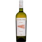 Di Camillo Tenute del Pojo le Coste Pecorino 13% 0,75 l (holá láhev) – Hledejceny.cz