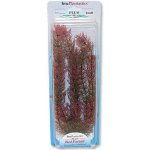 Tetra rostlina Red Foxtail Plus 30 cm – Hledejceny.cz