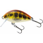 Salmo Tiny 3 cm Floating Baby Minnow – Hledejceny.cz