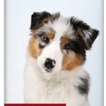 Trixie Kapky na výcvik 50ml – Zbozi.Blesk.cz