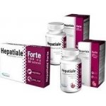 VetExpert Hepatiale Forte 40 tbl – Zbozi.Blesk.cz