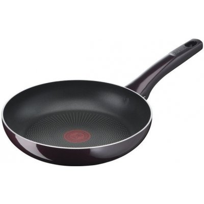 Tefal pánev Resist Intense 24 cm – Zboží Mobilmania