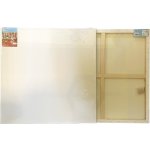 SMT Creatoys Malířské plátno SC7070 70 x 70 cm 380 g/m2 – Zboží Dáma