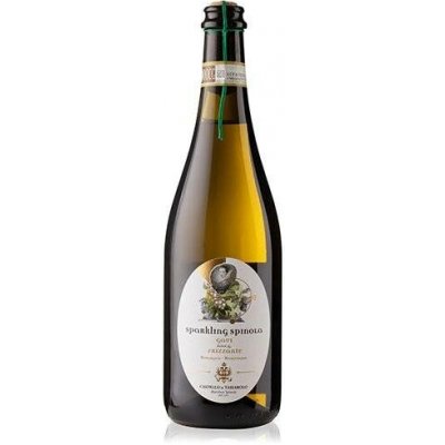 Castello di Tassarolo Gavi Frizzante DOCG 2024 12% 0,75 l (holá láhev) – Hledejceny.cz
