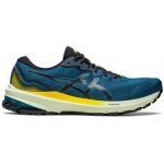 Asics GT-1000 11 TR M 1011B573 750 – Hledejceny.cz