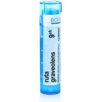 RUTA GRAVEOLENS POR 9CH GRA 4G – Hledejceny.cz