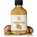 Natural Protein Zázvorová šťáva 100 ml – Zboží Mobilmania