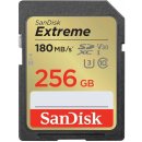 SanDisk SDXC 256 GB SDSDXVV-256G-GNCIN