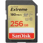 SanDisk SDXC 256 GB SDSDXVV-256G-GNCIN – Zbozi.Blesk.cz