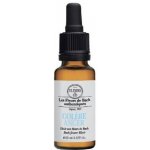 Elixirs & Co Les Fleurs de Bach kombinovaná esence Hněv 20 ml – Hledejceny.cz