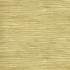 Tapety Eijffinger 303503 Přírodní tapeta na zeď Natural Wallcoverings III rozměry 0,91 x 5,5 m