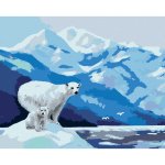 Zuty Malování podle čísel LEDNÍ MEDVĚD A LEDOVCE D. RUSTY RUST – Hledejceny.cz