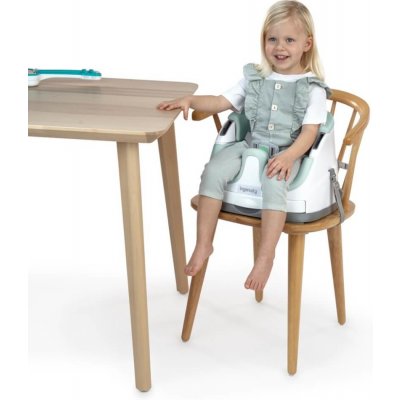 INGENUITY Podsedák na židli 2v1 Baby Base Mist 6m+ do 22kg – Sleviste.cz