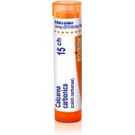 CALCAREA CARBONICA POR 15CH GRA 1X4G – Hledejceny.cz