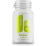 Tribulus terrestris 400 mg 120 kapslí – Hledejceny.cz