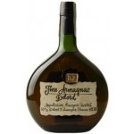 Armagnac-Delord Fine 40% 0,7 l (holá láhev) – Zboží Dáma